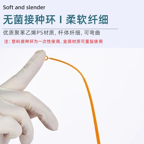 比克曼生物一次性无菌塑料接种环微生物采样棒接种针验室用耗材
