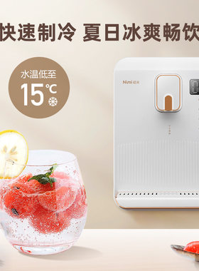 纽米管线机壁挂式速热冰热两用制冷家用调温即热式冷热饮水直饮机