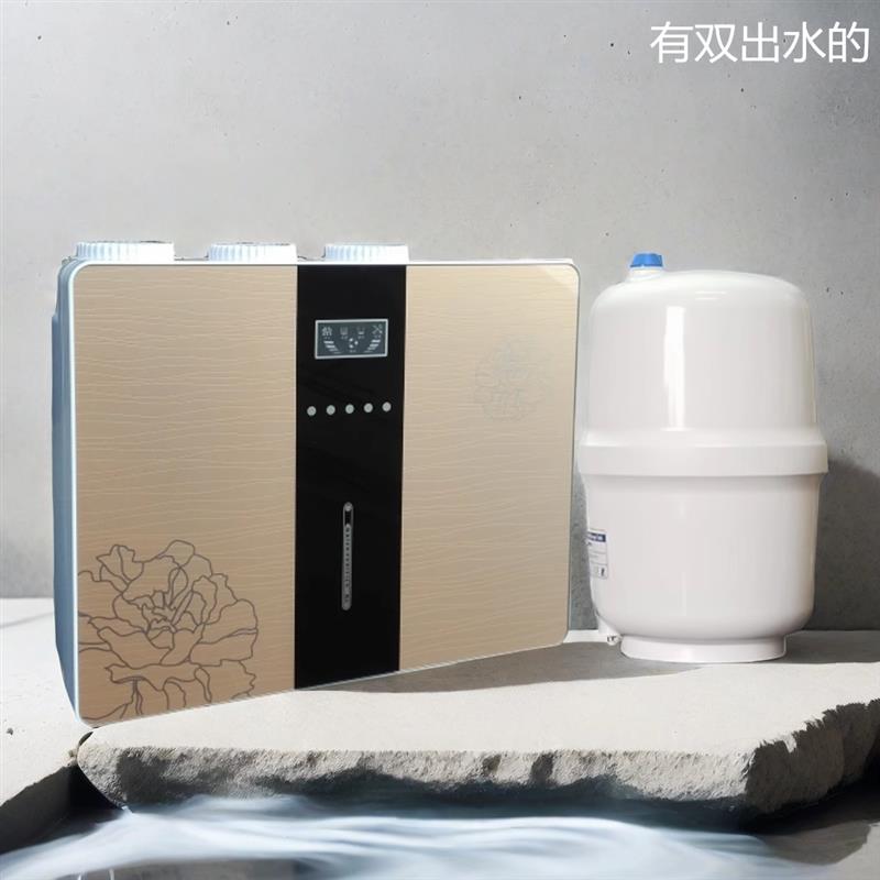 家用纯水机RO反渗透5级双膜超滤厨房过滤器净水机过滤器纯水机100