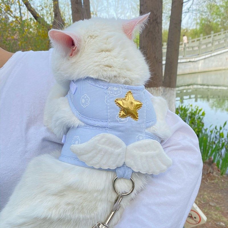 猫绳子牵引猫防挣脱拴猫绳幼猫网红猫链子猫咪专用牵引绳遛猫绳