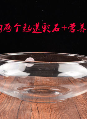 透明玻璃器皿花瓶水仙水培盆铜钱草碗莲水培花盆水培植物花瓶鱼缸
