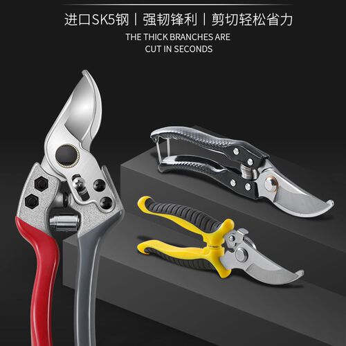 果树修枝剪树枝专用剪子剪枝园林工具花剪修剪花艺花卉剪园艺剪刀