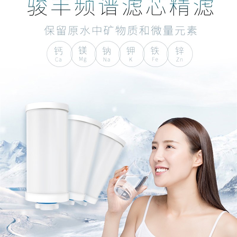 骏丰频谱净水器滤芯4条通用家用活性炭直饮水机过滤器139配件