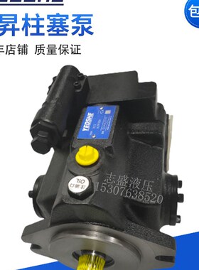 油泵变量柱塞泵V15/V18/V23/V38/V42-A1/A2/A3/A4-R10X