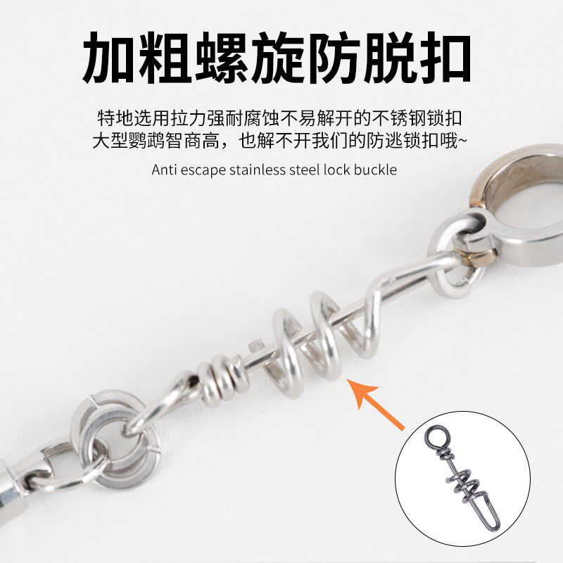 中大型金刚灰鹦鹉专用脚链脚环免费刻字不锈钢蛇骨链不伤脚防脱扣