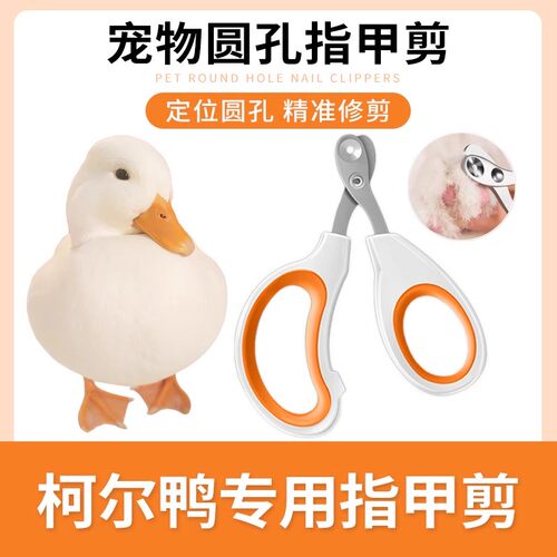 柯尔鸭专用指甲剪套装指甲刀修剪指甲钳宠物鸭磨甲器鸭子小宠用品