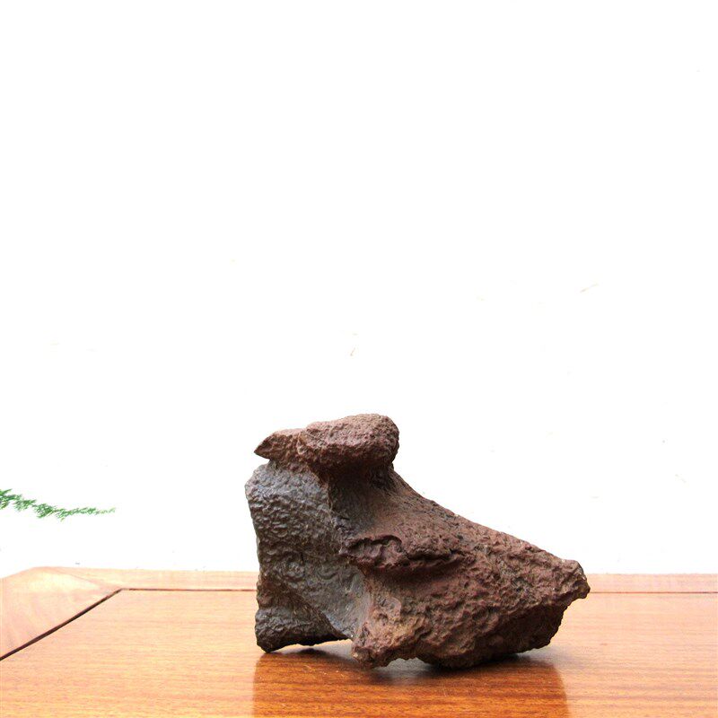 天然戈壁奇石风凌石原石整体随形摆件艺术造景观赏石收藏高档礼品