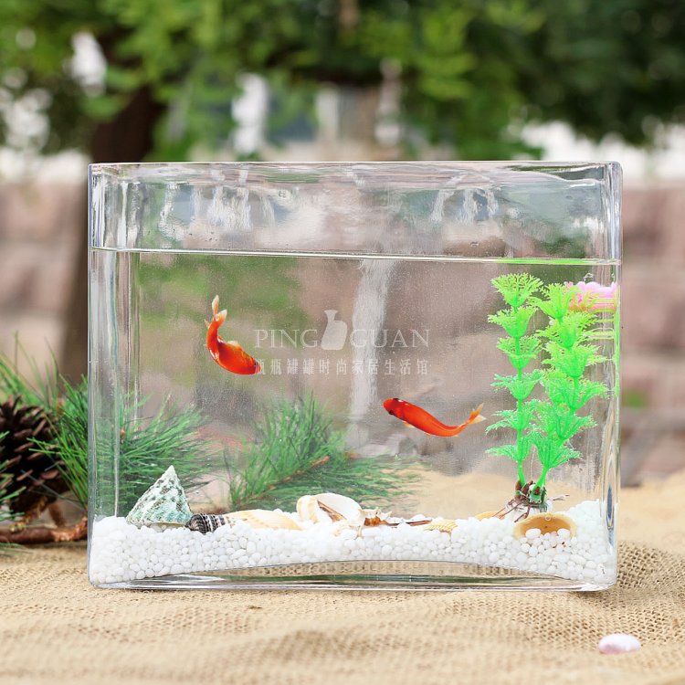 加厚透明玻璃长方形一体小型鱼缸水族箱桌面创意水培植物容器虾缸