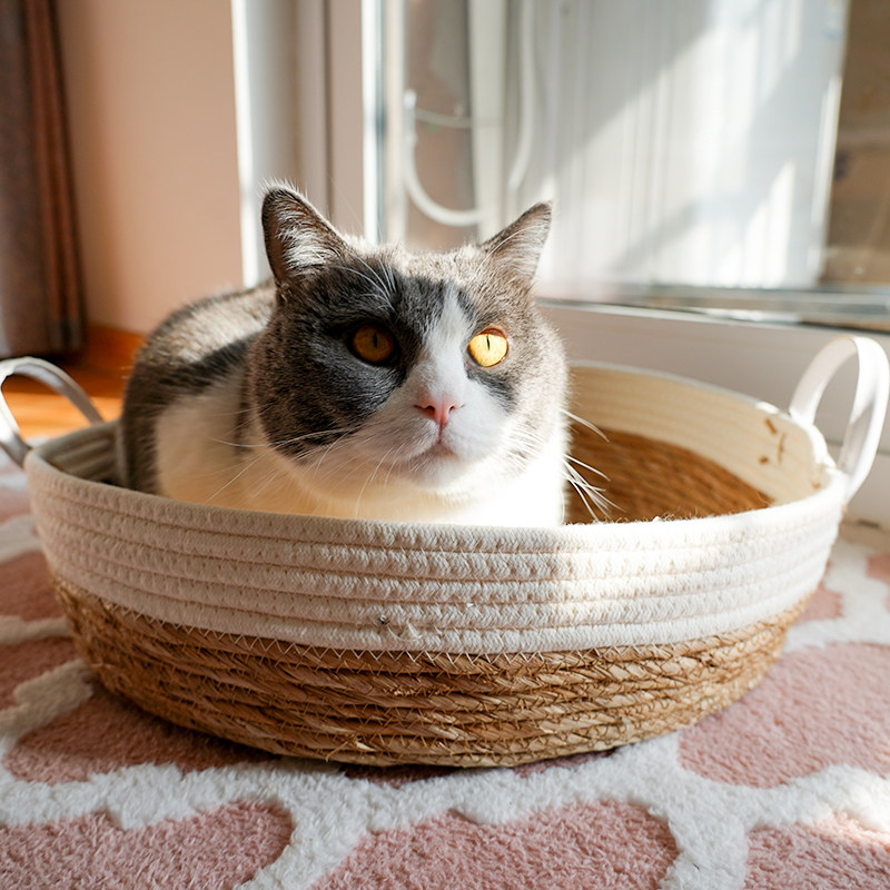 藤编猫窝吊篮夏季手工编织藤窝日式简约小猫咪窝蒲草凉席圆形狗窝