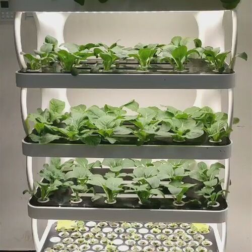 高端智能种植机无土栽培设备水耕水培蔬菜家庭室内植物工厂种菜架