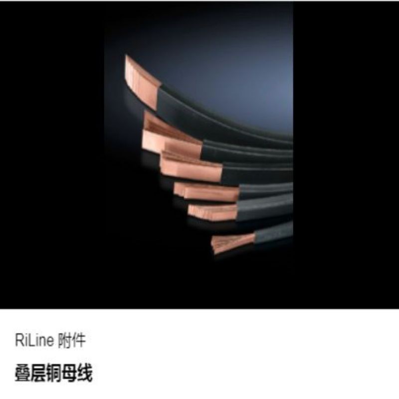 德国威图 rittal锁盒盖板 用于挂锁或多重锁商品编号:SZ 2493.000