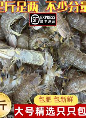 连云港液氮速冻皮皮虾