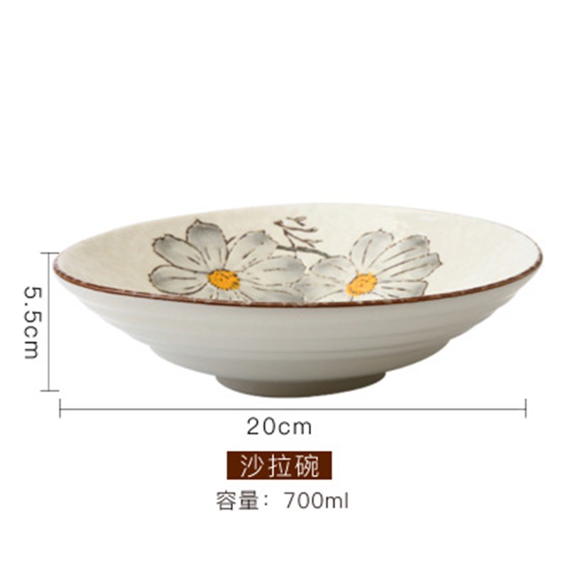 创意家用陶瓷碗 餐馆酒店面馆时尚沙拉碗 百货家居实用拉面碗餐具