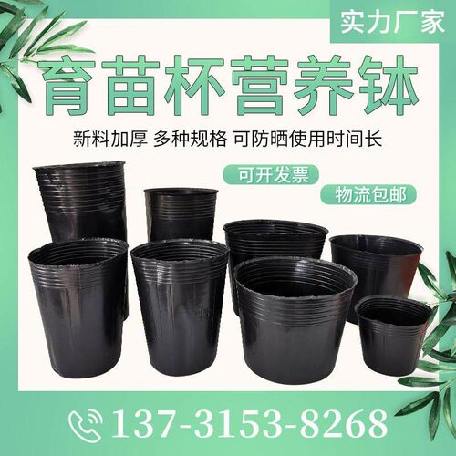 一次性育苗营养杯加厚塑料育苗袋 果树花盆营养钵