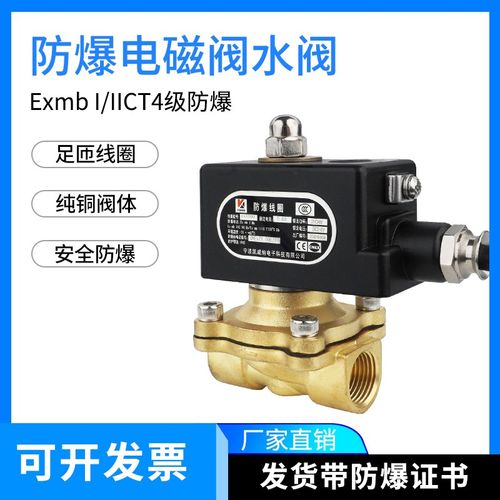 防爆电磁阀水阀2W025-08/2W160-15常闭4分220V控制气阀2W200-20