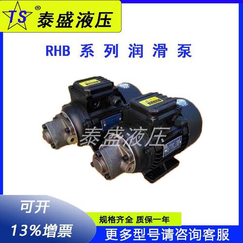 泰盛液压配套RHB-1JZ润滑泵电机组120W/380V 微型RHB-2.5摆线油泵