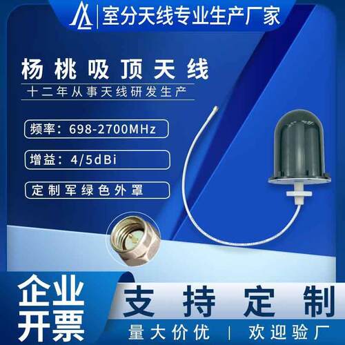 698-2700MHZ防爆玻璃钢天线 无线设备配套IP67防水全向杨桃天线