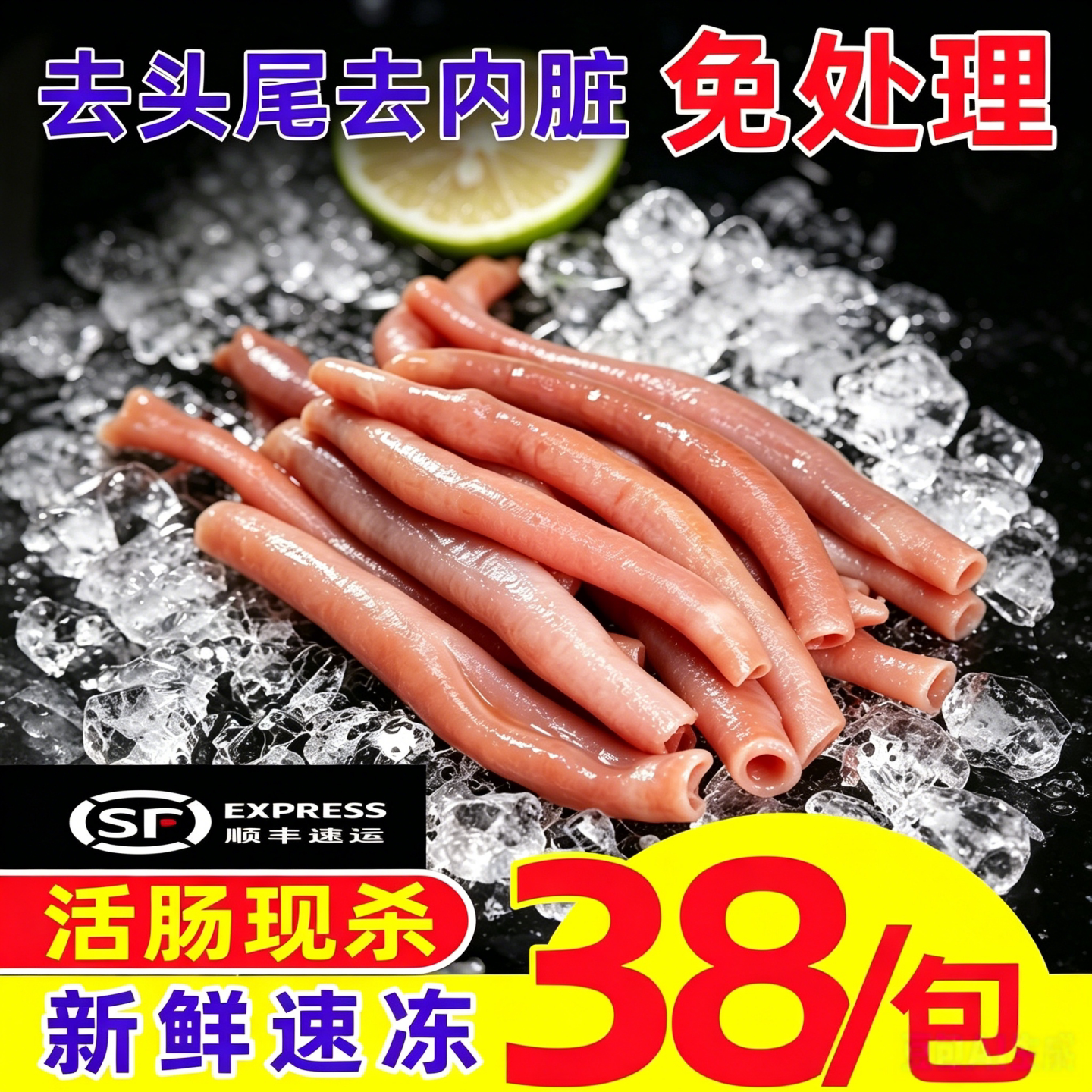 海肠捞饭活急冻免处理海肠沙虫