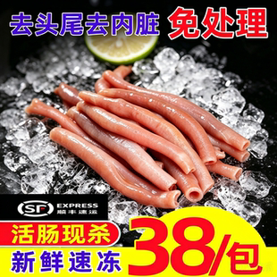 海肠大连鲜活急冻海肠皮新鲜海肠子沙虫海鲜水产免处理商用批发