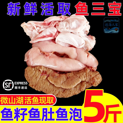 现杀现取冷冻三宝鱼肚鱼籽鱼鳔
