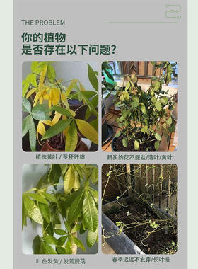 青丛园丁复活液专治植物光杆黄叶增强光合作用生根壮苗快速服盆
