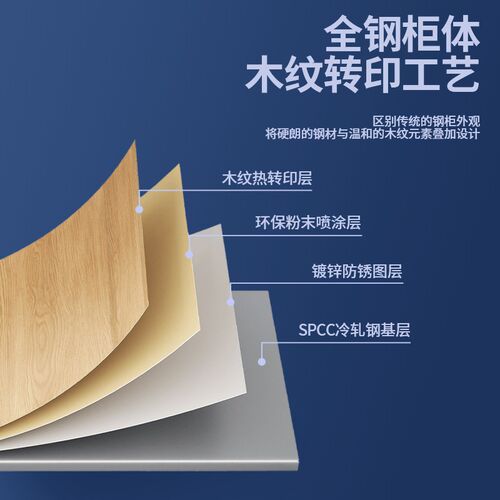 文件柜铁皮柜资料财务木纹铁二斗储物带锁钢制办公室凭证柜档案柜