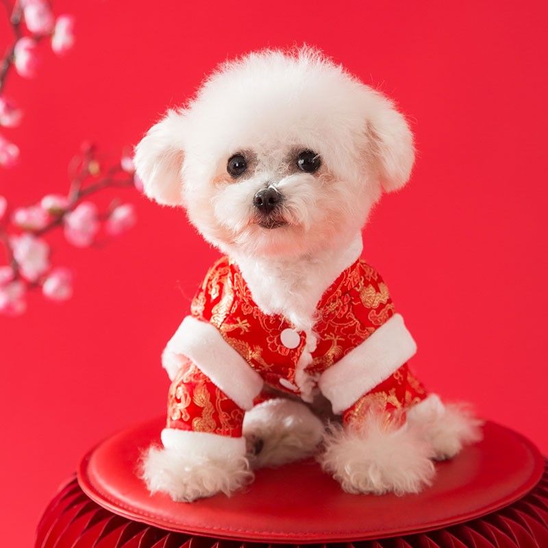 喜庆唐装小狗狗新年衣服四脚宠物小型犬泰迪比熊冬季过年棉衣马年