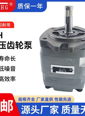 IPH-2B-6.5-11/IPH-3B-16-20/IPH-4B-25-20内啮合液压齿轮油泵