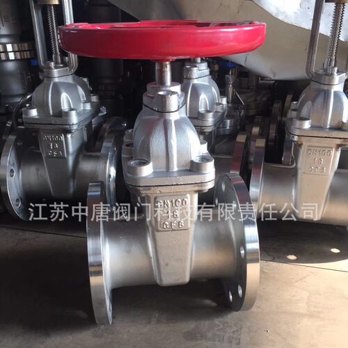 Z45X-16P小口径弹型座封不锈钢闸阀 给水排水闸阀 不锈钢消防阀门