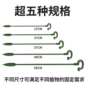 园艺支撑杆花架固定器蝴蝶兰花支架固定花神器植物防倒伏花杆塑形
