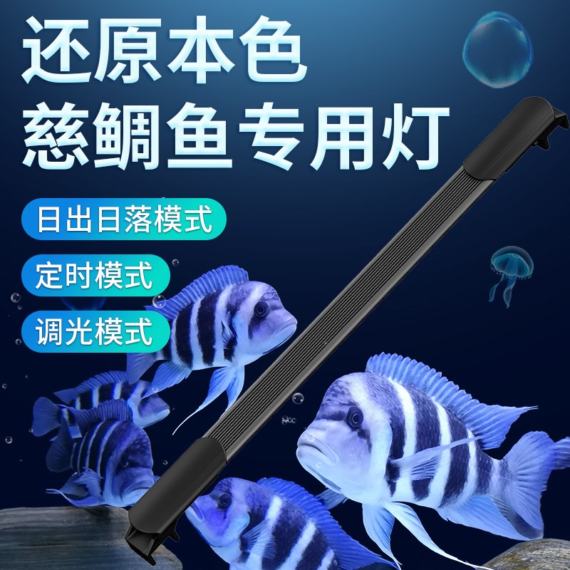 三湖慈鲷鱼灯LED专业灯引色增艳增色三湖鱼灯鱼缸水族箱发色潜水