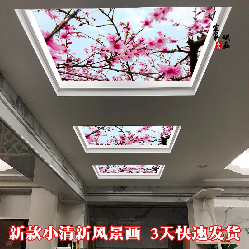 3d立体桃花风景吊顶艺术玻璃装饰过道走廊客厅简约透光玻璃天花
