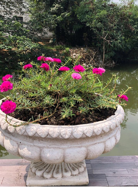 欧式别墅户外庭院花园特大花盆室外阳台布置创意园艺景观装饰摆件