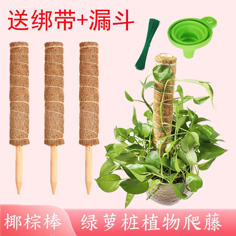 绿萝支撑杆立柱椰棕棒柱子龟背竹棕柱棒爬藤大型绿植物攀爬柱支架图片