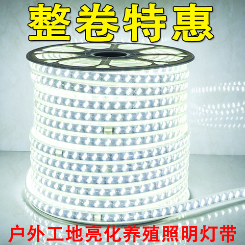灯带led工程亮化照明工地养殖园林装饰100米一卷220v白光暖光灯条