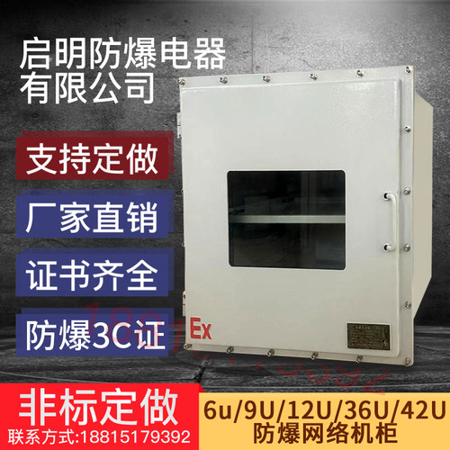 防爆网络机柜防爆机柜防爆6U柜9U42U柜防爆正压柜防爆交换机