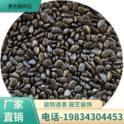云南黑色鹅卵石普光天然室内园林铺路造景花盆庭院鱼缸原石园艺雨