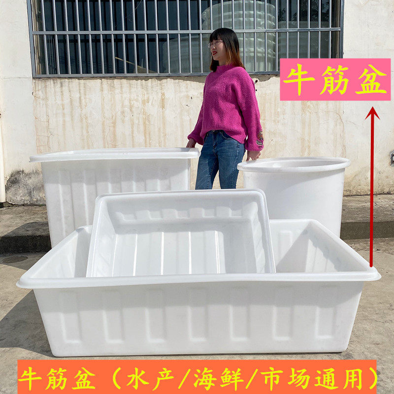牛筋料储水桶加厚长方形养殖装鱼虾运输水产箱家用大小号塑料水箱