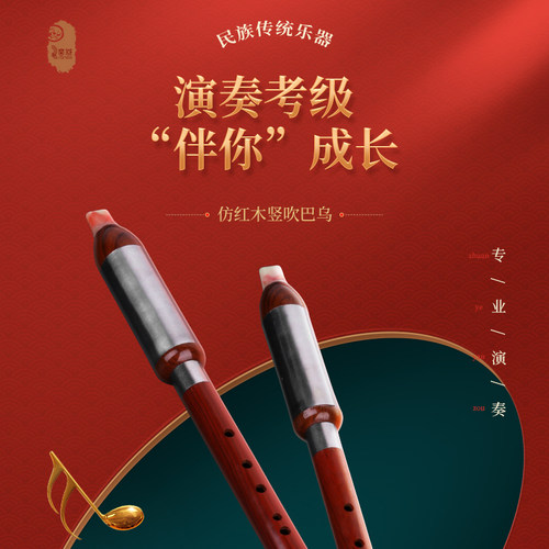 黑檀巴乌乐器小学生巴乌竖吹F调C调G调专业演奏单管巴乌送盒子