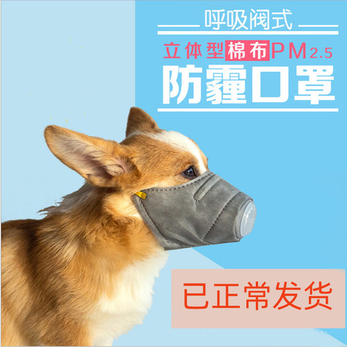 宠物狗狗口狗用罩防雾霾柯基泰迪嘴套小型防乱吃犬小狗专用防咬