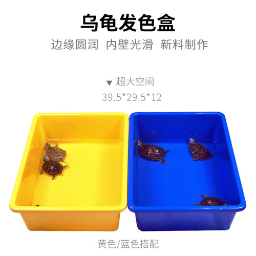 乌龟发色盒红黄蓝黑白透明龟缸周转箱龟箱龟盆观赏龟苗饲养收纳盒