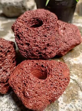 红色带孔天然火山石定植环鱼缸龟缸水草固定种植造景装饰水草底座