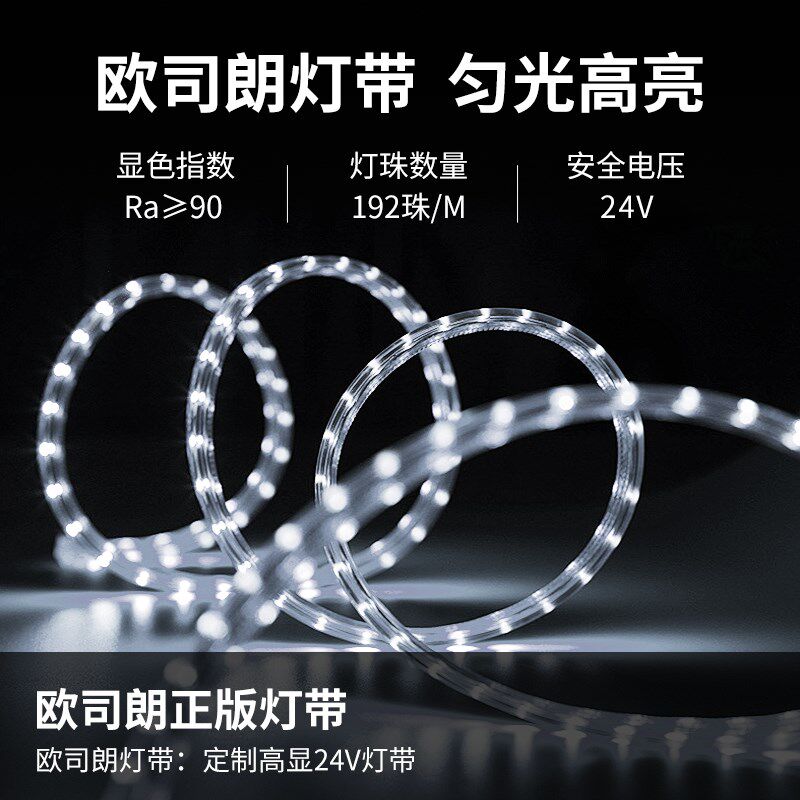 椭圆智能全身镜子带灯led无框穿衣镜发光壁挂墙装饰试衣镜充电款