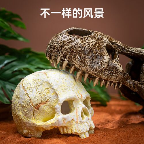爬宠角蛙蜥蜴躲避屋守宫乌龟仿天然岩石洞穴爬虫箱造景宠物蛇装饰