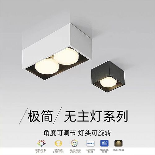 明装筒灯家用客厅卧室吸顶长条方形单双头全光谱无主灯斗胆灯射灯