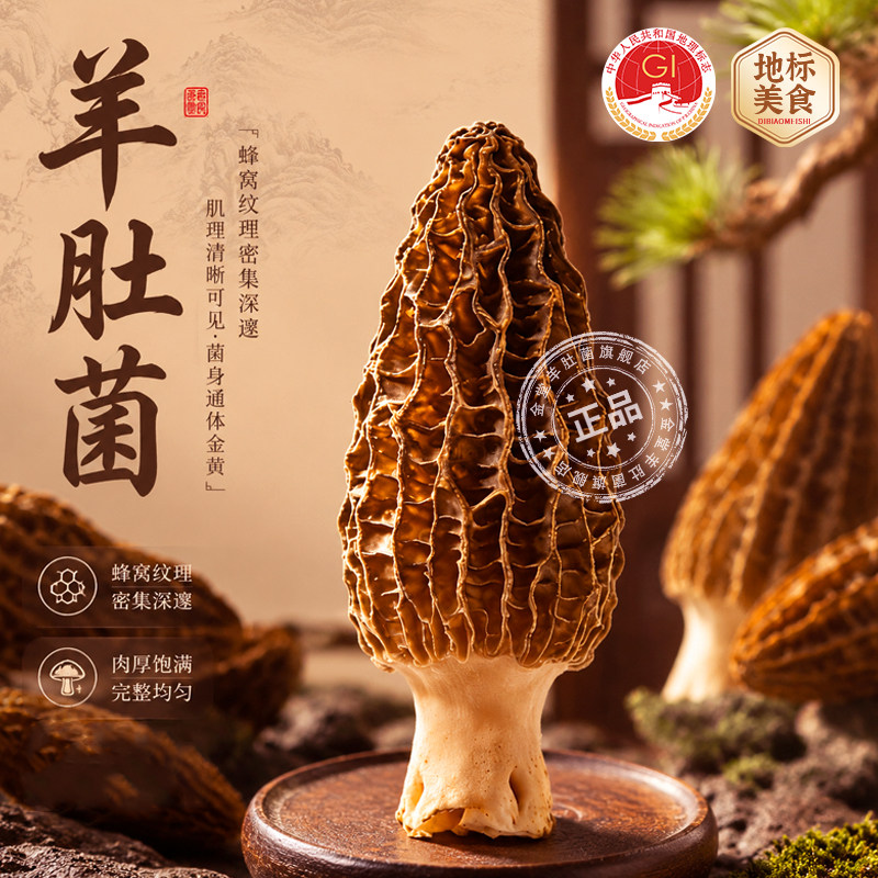 金堂羊肚菌肉厚无硫炖汤老少皆宜