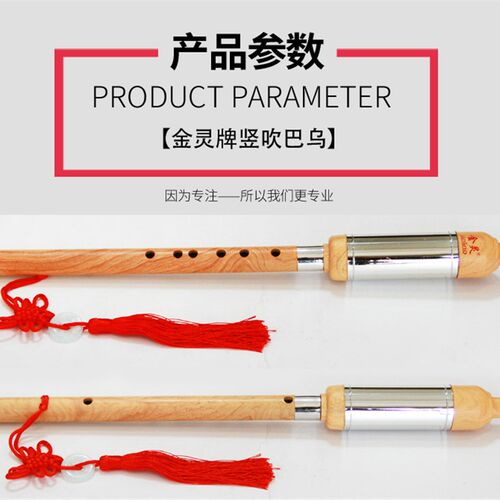 工厂直供仿木色升级加固塑胶竖吹巴乌C调降B调小学生初学入门乐器