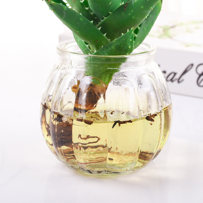 T小花瓶欧式创意简约水培绿萝植物透明玻璃瓶清新装饰摆件插花瓶