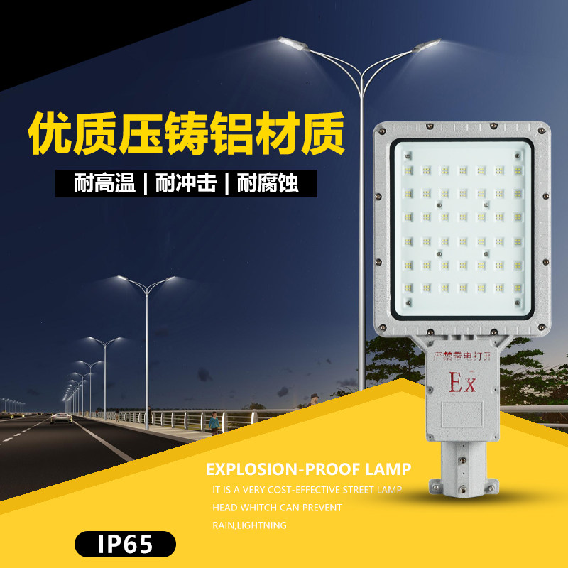 LED防爆路灯6米10米加气加油站化工厂高亮户外高杆防爆路灯头100W
