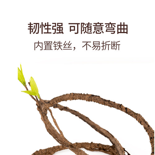 新派reptizoo爬宠攀爬藤条树蛙睫角守宫蜥蜴爬虫饲养箱造景树根枝